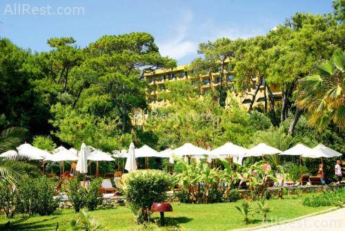 Magic Life Sarigerme Imperial 15
